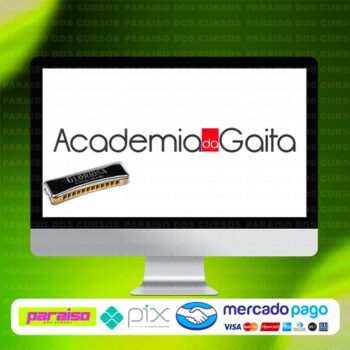 curso_academia_da_gaita_baixar_drive_gratis