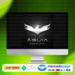 curso_aguia_marketing_digital_baixar_drive_gratis