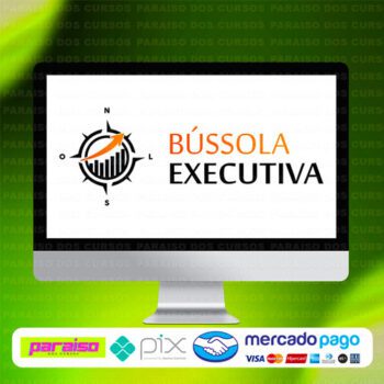 curso_bussola_executiva_baixar_drive_gratis