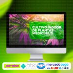 curso_cultivo_indoor_de_plantas_medicinais_baixar_drive_gratis