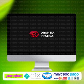 curso_drop_na_pratica_baixar_drive_gratis