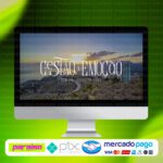 curso_gestao_da_emocao_baixar_drive_gratis