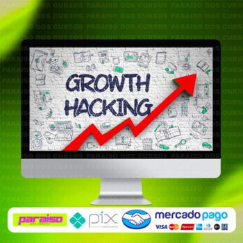 curso_growth_hacking_baixar_drive_gratis
