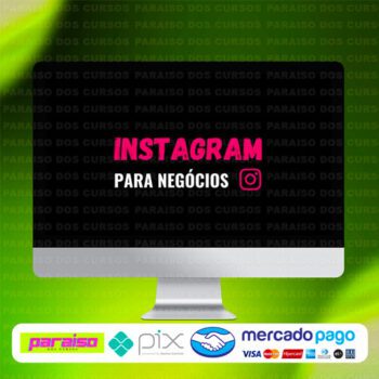 curso_instagram_para_negocios_baixar_drive_gratis