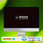 curso_negocio_de_palestras_baixar_drive_gratis