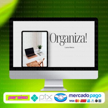 curso_organiza!_baixar_drive_gratis