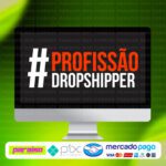 curso_profissao_dropshipper_baixar_drive_gratis