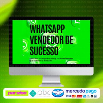 curso_whatsapp_vendedor_de_sucesso_baixar_drive_gratis